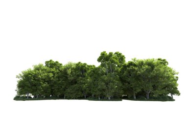 Beyaz arkaplanda bir grup ağaç