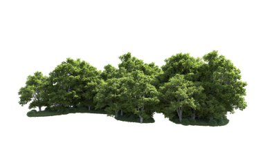 Beyaz arkaplanda bir grup ağaç