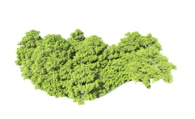 Beyaz arkaplanda bir grup ağaç