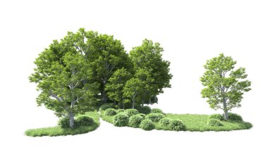 Beyaz arkaplanda bir grup ağaç