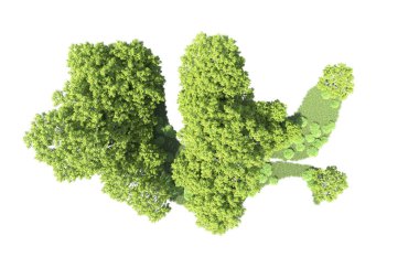 Beyaz arkaplanda bir grup ağaç