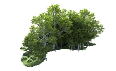 Beyaz arkaplanda bir grup ağaç