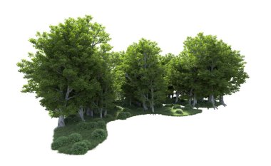 Beyaz arkaplanda bir grup ağaç