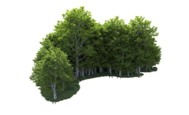 Beyaz arkaplanda bir grup ağaç