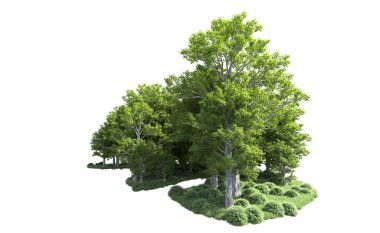 Beyaz arkaplandaki ağaçları kapat