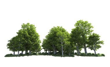 Beyaz arkaplandaki ağaçları kapat