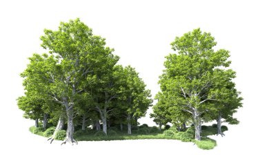 Beyaz arkaplandaki ağaçları kapat