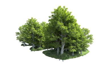 Beyaz arkaplandaki ağaçları kapat