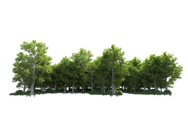 Beyaz arkaplandaki ağaçları kapat