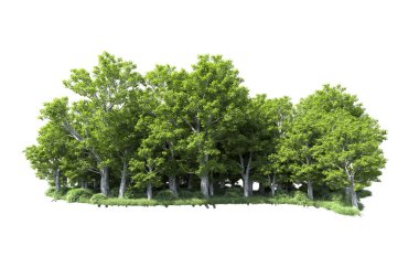 Beyaz arkaplandaki ağaçları kapat