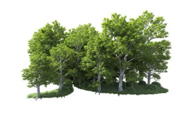 Beyaz arkaplandaki ağaçları kapat