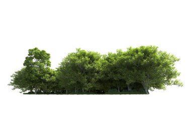 Beyaz arkaplandaki ağaçları kapat