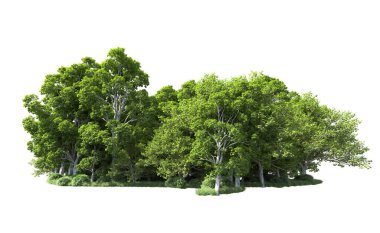 Beyaz arkaplandaki ağaçları kapat