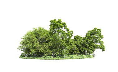 Beyaz arkaplandaki ağaçları kapat