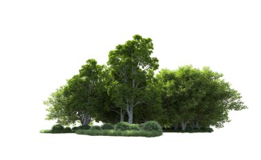 Beyaz arkaplandaki ağaçları kapat