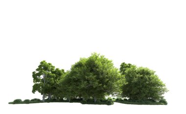 Beyaz arkaplandaki ağaçları kapat