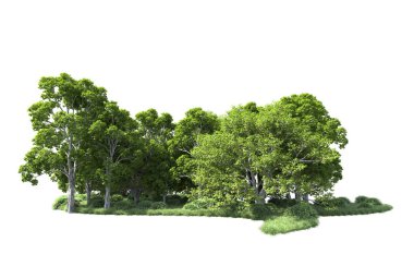 Beyaz arkaplandaki ağaçları kapat