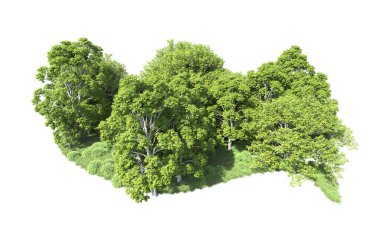 Beyaz arkaplandaki ağaçları kapat