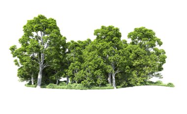 Beyaz arkaplandaki ağaçları kapat