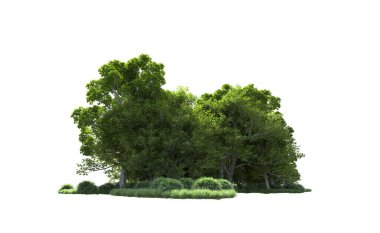 Beyaz arkaplandaki ağaçları kapat