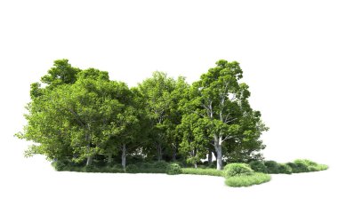 Beyaz arkaplandaki ağaçları kapat