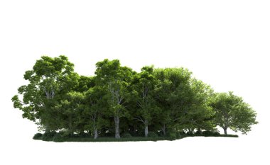 Beyaz arkaplandaki ağaçları kapat