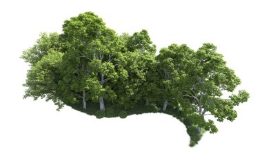 Beyaz arkaplandaki ağaçları kapat