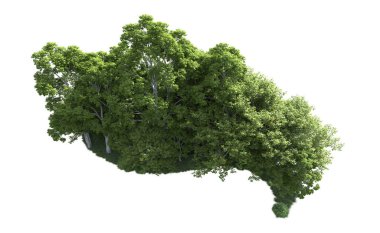 Beyaz arkaplandaki ağaçları kapat