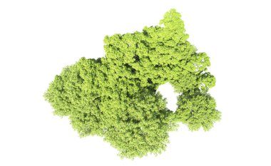 Beyaz arkaplandaki ağaçları kapat