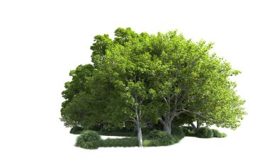 Beyaz arkaplandaki ağaçları kapat