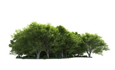 Beyaz arkaplandaki ağaçları kapat