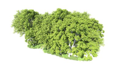 Beyaz arkaplandaki ağaçları kapat