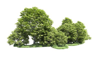 Beyaz arkaplandaki ağaçları kapat