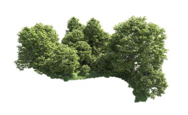 Beyaz arkaplandaki ağaçları kapat