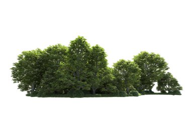 Beyaz arkaplandaki ağaçları kapat