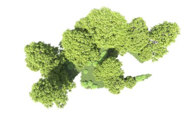 Beyaz arkaplandaki ağaçları kapat