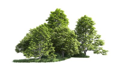 Beyaz arkaplandaki ağaçları kapat