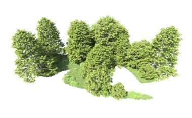 Beyaz arkaplandaki ağaçları kapat