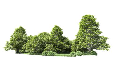 Beyaz arkaplandaki ağaçları kapat