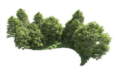 Beyaz arkaplandaki ağaçları kapat