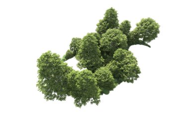 Beyaz arkaplandaki ağaçları kapat