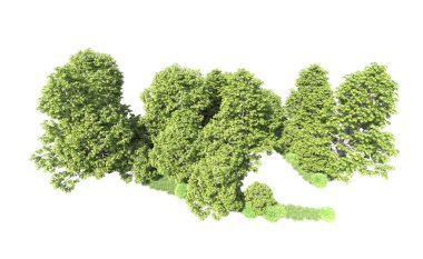 Beyaz arkaplandaki ağaçları kapat