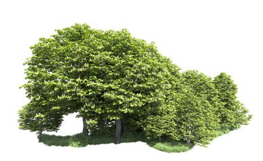 Beyaz arkaplandaki ağaçları kapat