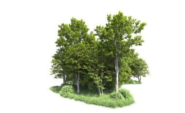 Beyaz arkaplandaki ağaçları kapat