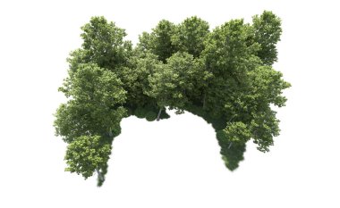 Beyaz arkaplandaki ağaçları kapat