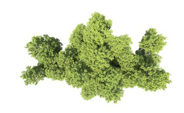 Beyaz arkaplandaki ağaçları kapat