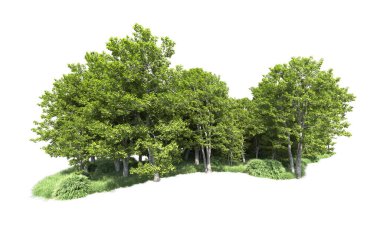 Beyaz arkaplandaki ağaçları kapat