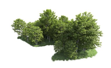 Beyaz arkaplandaki ağaçları kapat