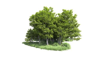 Beyaz arkaplandaki ağaçları kapat