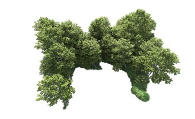 Beyaz arkaplandaki ağaçları kapat